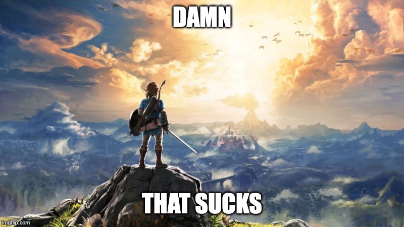 Damn That Sucks | image tagged in breath of the wild | made w/ Imgflip meme maker