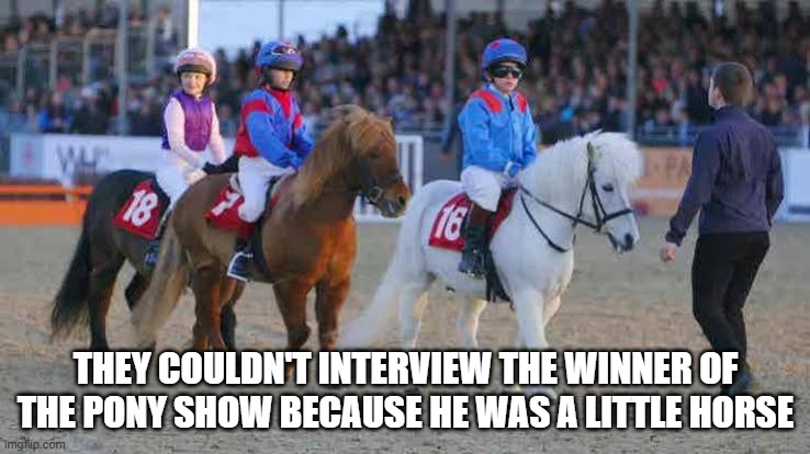 They couldn't interview the winning pony because he was a little horse. | they couldn't interview the winner of the pony show because he was a little horse | image tagged in funny,humor,pony,horse,play on words,funny meme | made w/ Imgflip meme maker