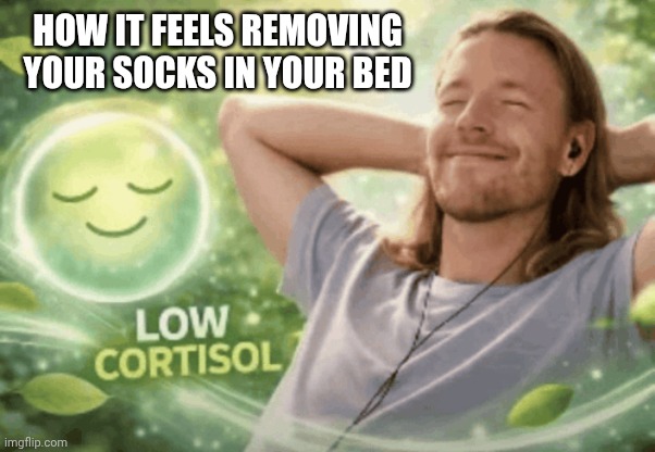 So true | How it feels removing your socks in your bed | image tagged in low cortisol,funny,socks,memes,viral,upvotes | made w/ Imgflip meme maker