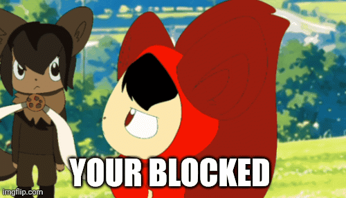 Your Blocked By Reedy | YOUR BLOCKED | image tagged in gifs,reedy,reedyandfriends | made w/ Imgflip images-to-gif maker