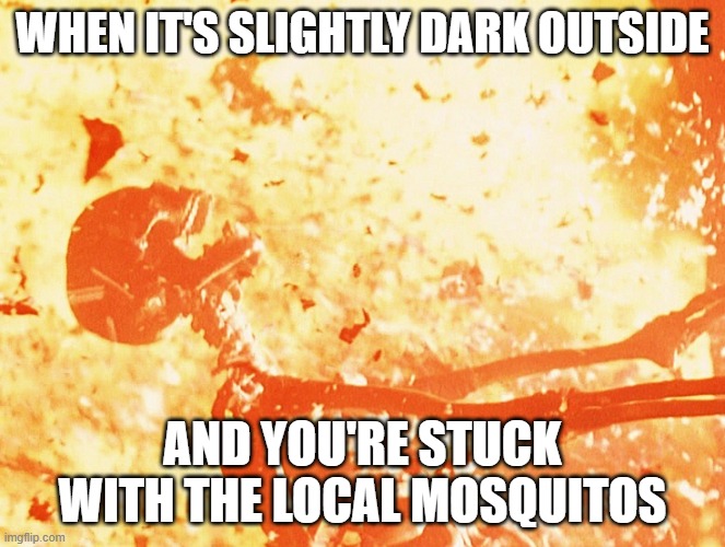 Worse than death | When it's slightly dark outside; And you're stuck with the local mosquitos | image tagged in fire skeleton,funny,memes | made w/ Imgflip meme maker