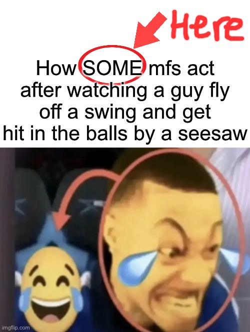 Meme Attempt #8 | How SOME mfs act after watching a guy fly off a swing and get hit in the balls by a seesaw | image tagged in flightreacts laughing emoji | made w/ Imgflip meme maker