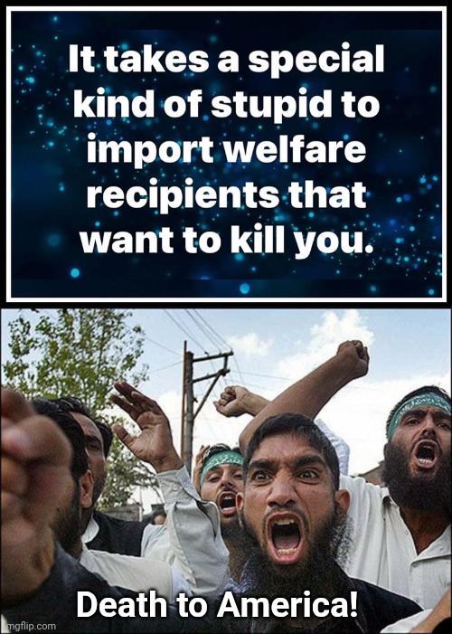 Special kind of stupid | Death to America! | image tagged in img 19 jpeg,muslim rage boy,dta | made w/ Imgflip meme maker