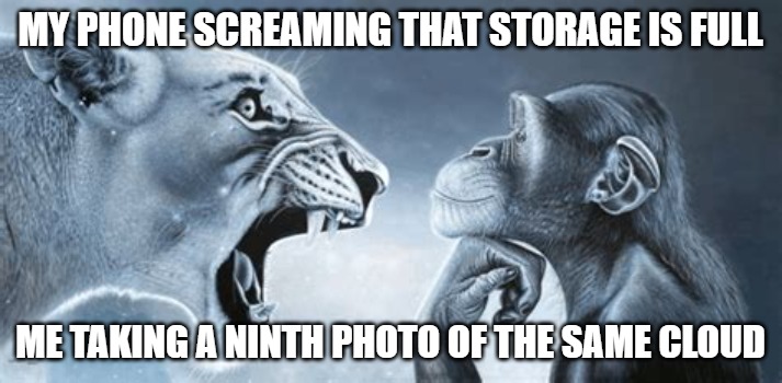 tiger yell at pondering monkey | MY PHONE SCREAMING THAT STORAGE IS FULL; ME TAKING A NINTH PHOTO OF THE SAME CLOUD | image tagged in tiger yell at pondering monkey | made w/ Imgflip meme maker
