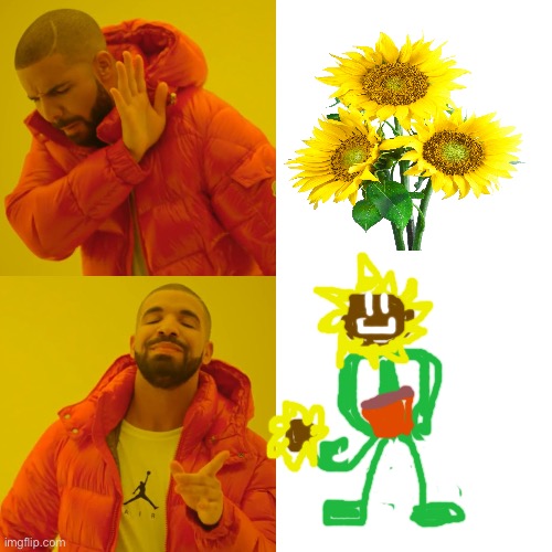Daylight the Flower is the Best Flower. | image tagged in memes,drake hotline bling,funny,oc,flowers | made w/ Imgflip meme maker
