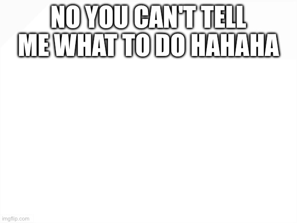 FOR MY COMMENT | NO YOU CAN'T TELL
ME WHAT TO DO HAHAHA | made w/ Imgflip meme maker