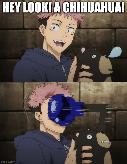 Day #1 of making the Anime Stream a better place Part #2 | hey look! a chihuahua! | image tagged in yuji gets punched by doll,jjk,anime,dogs,chihuahua,funny | made w/ Imgflip meme maker