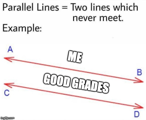 Parallel Lines | me; good grades | image tagged in parallel lines | made w/ Imgflip meme maker