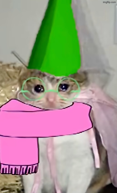 Screenshot 2026-10-24 at 11.46.19 PM.png | image tagged in screenshot 2026-10-24 at 11 46 19 pm png | made w/ Imgflip meme maker