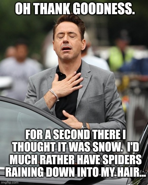 Relief | Oh thank goodness. For a second there I thought it was snow.  I'd much rather have spiders raining down into my hair... | image tagged in relief | made w/ Imgflip meme maker