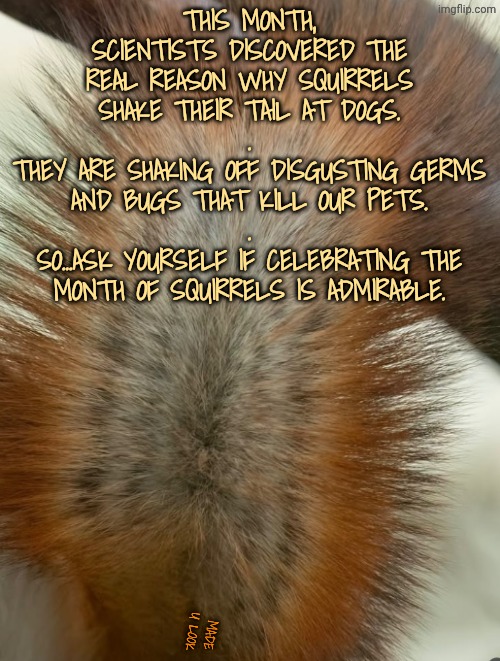 The month to celebrate vermin...yay! | This month, scientists discovered the real reason why squirrels shake their tail at dogs.
.
They are shaking off disgusting germs and bugs that kill our pets.
.
So...ask yourself if celebrating the Month of Squirrels is admirable. Made u look | image tagged in disgusting squirrels,squirrels want to kill our pets,whats up with squirrel lovers | made w/ Imgflip meme maker