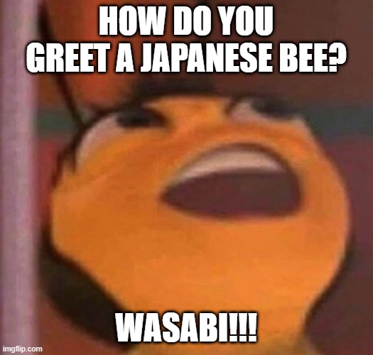 Bee Greeting | how do you greet a japanese bee? WASaBI!!! | image tagged in bee movie | made w/ Imgflip meme maker