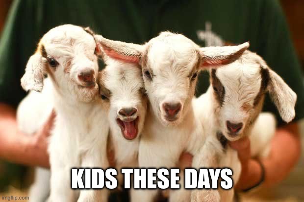 Kids | Kids these days | image tagged in baby goats,kids,bad pun | made w/ Imgflip meme maker
