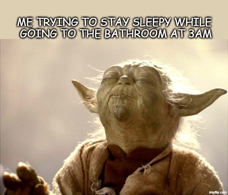 Me trying to stay sleepy while going to the bathroom at 3am | Me trying to stay sleepy while 
going to the bathroom at 3am | image tagged in memes,sleeping | made w/ Imgflip meme maker