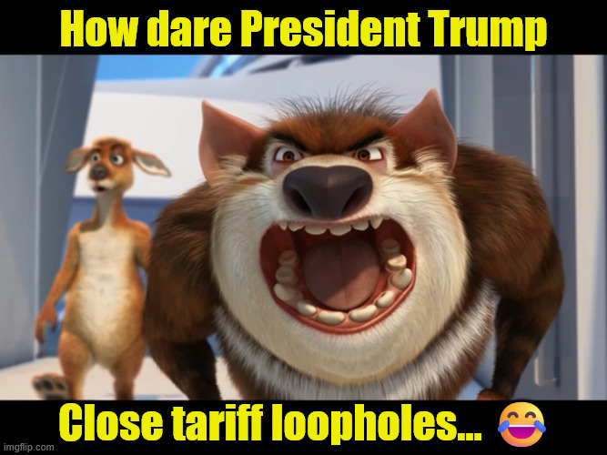 Dazed Australian  | How dare President Trump Close tariff loopholes... ? | image tagged in dazed australian | made w/ Imgflip meme maker