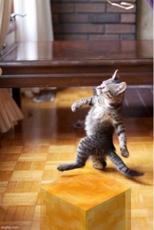 Walking Cat | image tagged in walking cat | made w/ Imgflip meme maker