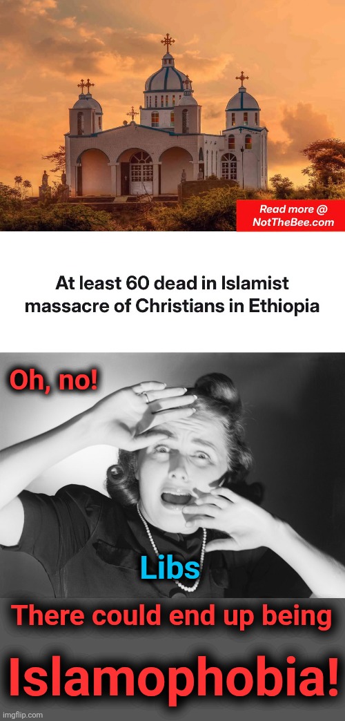 Other than that, no worries | Oh, no! Libs; There could end up being; Islamophobia! | image tagged in terrified woman screaming,memes,islamophobia,massacre,christians,democrats | made w/ Imgflip meme maker
