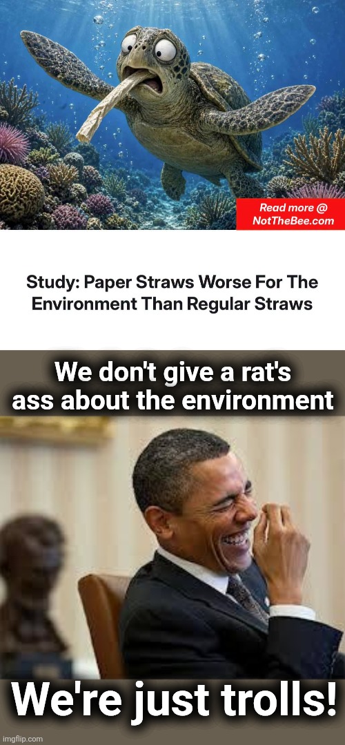 "3.34 times the carcinogenic impact" | We don't give a rat's
ass about the environment; We're just trolls! | image tagged in laughing obama,straws,paper,environmentalism,democrats,trolls | made w/ Imgflip meme maker