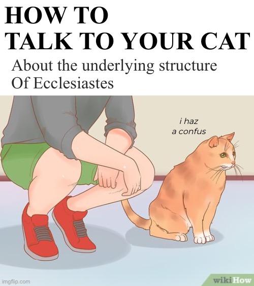 Snuggle up kitty. This is going to take all day… | How to
talk to your cat; About the underlying structure
Of Ecclesiastes; i haz a confus | image tagged in funny memes,catholicism,i have work to do,deep dive,ecclesiastes | made w/ Imgflip meme maker