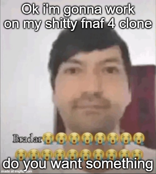 Bradar | Ok i'm gonna work on my shitty fnaf 4 clone; do you want something | image tagged in bradar | made w/ Imgflip meme maker