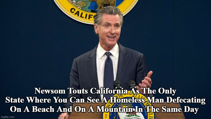 Newsom Touts California As The Only State Where You Can See A Homeless Man Defecating On A Beach And On A Mountain In The Same Day | made w/ Imgflip meme maker