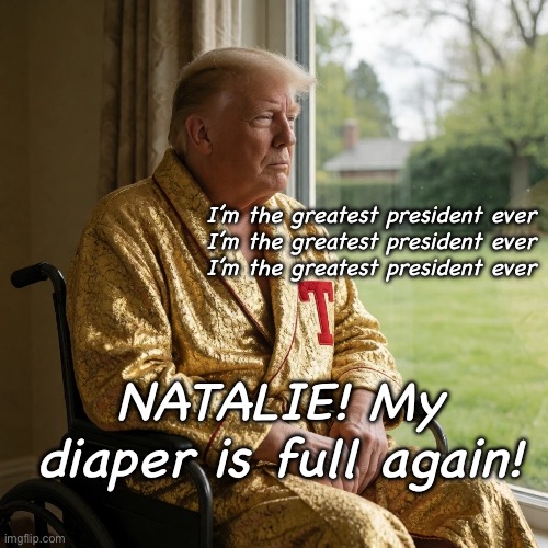The Dementia Don in retirement with Natalie.  MAGA Trump Mar-a-Lago | I’m the greatest president ever
I’m the greatest president ever
I’m the greatest president ever NATALIE! My diaper is full again! | image tagged in republican,insane,crazy,evil,babbling,drooling | made w/ Imgflip meme maker