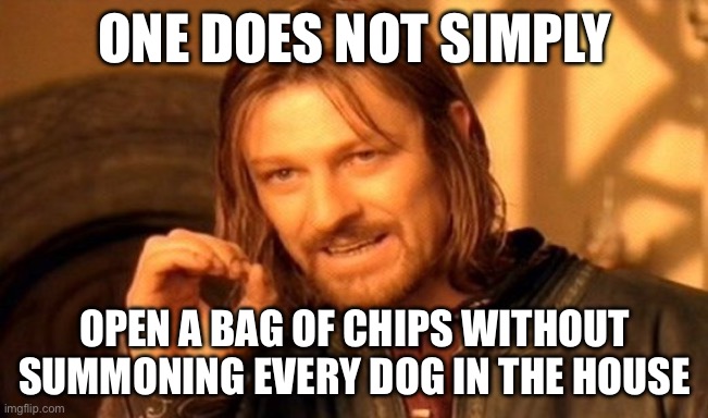 One Does Not Simply Meme | ONE DOES NOT SIMPLY; OPEN A BAG OF CHIPS WITHOUT SUMMONING EVERY DOG IN THE HOUSE | image tagged in memes,one does not simply | made w/ Imgflip meme maker