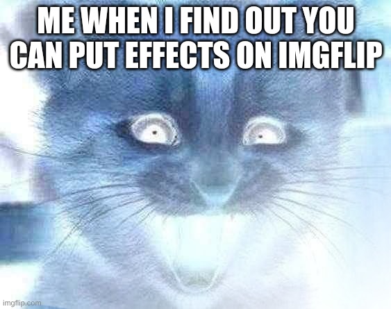 Excited Cat Meme | me when I find out you can put effects on imgflip | image tagged in memes,excited cat | made w/ Imgflip meme maker
