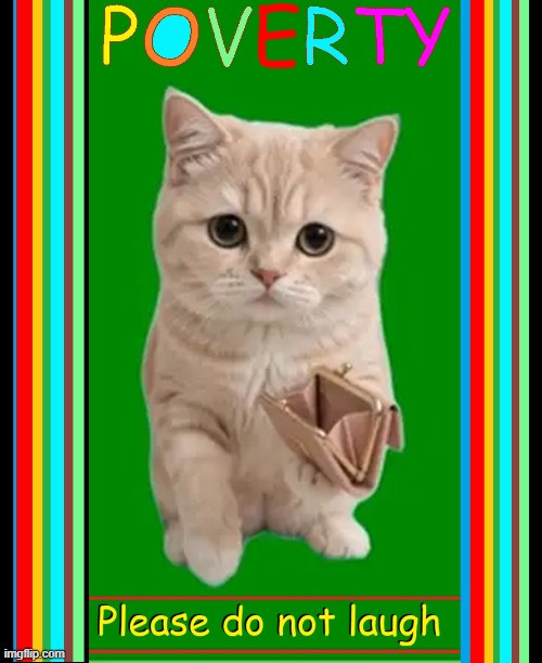 image tagged in cats 02 jpg | made w/ Imgflip meme maker