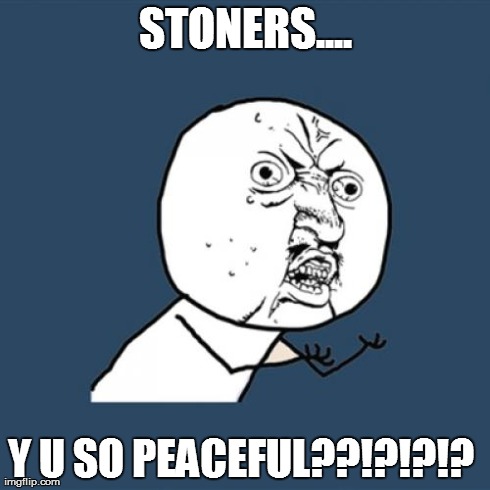 Y U No | STONERS.... Y U SO PEACEFUL??!?!?!? | image tagged in memes,y u no | made w/ Imgflip meme maker