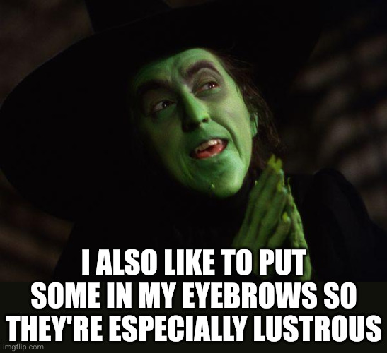 Wicked Witch West | I also like to put some in my eyebrows so they're especially lustrous | image tagged in wicked witch west | made w/ Imgflip meme maker