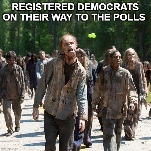 Registered Democrats on their way to the Polls | made w/ Imgflip meme maker