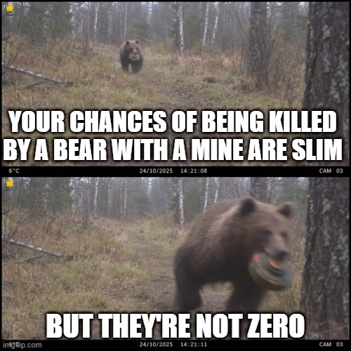 Mine Bear | Your chances of being killed by a bear with a mine are slim; But they're not zero | image tagged in funny,memes | made w/ Imgflip meme maker