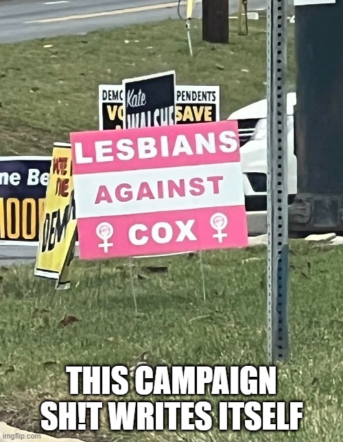 Vote No on Cox | This campaign sh!t writes itself | image tagged in funny,memes | made w/ Imgflip meme maker