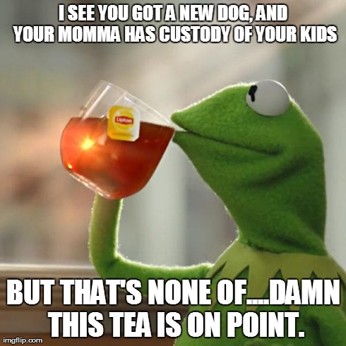 But That's None Of My Business Meme | I SEE YOU GOT A NEW DOG, AND YOUR MOMMA HAS CUSTODY OF YOUR KIDS BUT THAT'S NONE OF....DAMN THIS TEA IS ON POINT. | image tagged in memes,but thats none of my business,kermit the frog | made w/ Imgflip meme maker