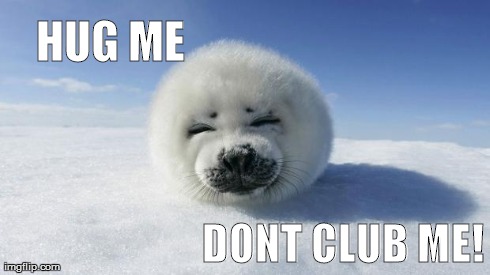 HUG ME DONT CLUB ME! | image tagged in seal | made w/ Imgflip meme maker
