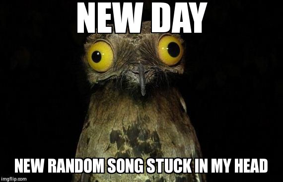 Weird Stuff I Do Potoo Meme | NEW DAY NEW RANDOM SONG STUCK IN MY HEAD | image tagged in memes,weird stuff i do potoo | made w/ Imgflip meme maker