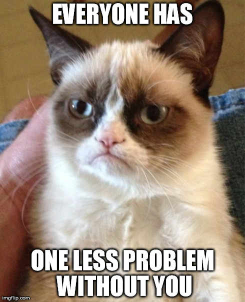 Grumpy Cat | EVERYONE HAS ONE LESS PROBLEM WITHOUT YOU | image tagged in memes,grumpy cat | made w/ Imgflip meme maker