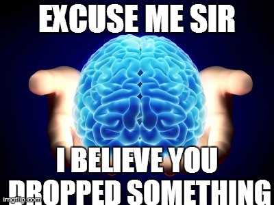 EXCUSE ME SIR I BELIEVE YOU DROPPED SOMETHING | image tagged in funny,brains | made w/ Imgflip meme maker
