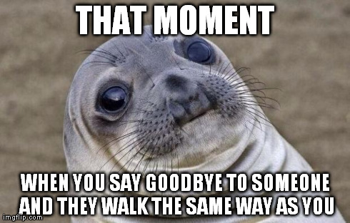 Awkward Moment Sealion Meme | THAT MOMENT WHEN YOU SAY GOODBYE TO SOMEONE AND THEY WALK THE SAME WAY AS YOU | image tagged in memes,awkward moment sealion | made w/ Imgflip meme maker
