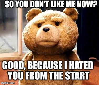 TED Meme | SO YOU DON'T LIKE ME NOW? GOOD, BECAUSE I HATED YOU FROM THE START | image tagged in memes,ted | made w/ Imgflip meme maker