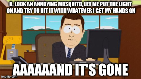 Aaaaand Its Gone Meme | O, LOOK AN ANNOYING MOSQUITO, LET ME PUT THE LIGHT ON AND TRY TO HIT IT WITH WHATEVER I GET MY HANDS ON AAAAAAND IT'S GONE | image tagged in memes,aaaaand its gone | made w/ Imgflip meme maker