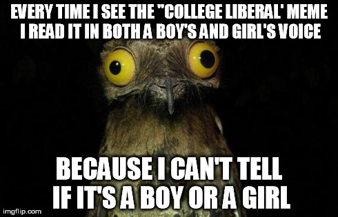 Weird Stuff I Do Potoo Meme | EVERY TIME I SEE THE "COLLEGE LIBERAL' MEME I READ IT IN BOTH A BOY'S AND GIRL'S VOICE BECAUSE I CAN'T TELL IF IT'S A BOY OR A GIRL | image tagged in memes,weird stuff i do potoo,AdviceAnimals | made w/ Imgflip meme maker