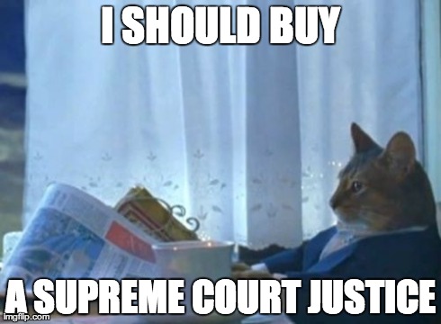I Should Buy A Boat Cat Meme | I SHOULD BUY A SUPREME COURT JUSTICE | image tagged in memes,i should buy a boat cat | made w/ Imgflip meme maker