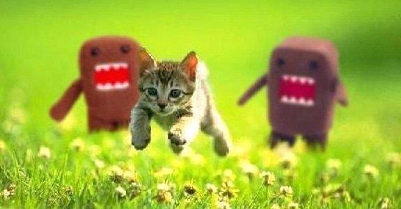 Kittens Running from Domo Blank Meme Template