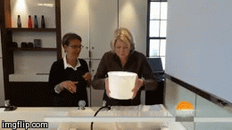 Martha Stewart Ice Bucket Challenge | image tagged in gifs | made w/ Imgflip video-to-gif maker