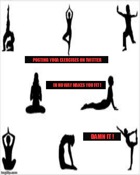Posting exercises doesn't make you fit? | POSTING YOGA EXERCISES ON TWITTER DAMN IT ! IN NO WAY MAKES YOU FIT ! | image tagged in workout,funny | made w/ Imgflip meme maker