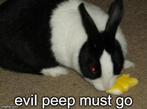 evil peep must go | image tagged in death by rival | made w/ Imgflip meme maker