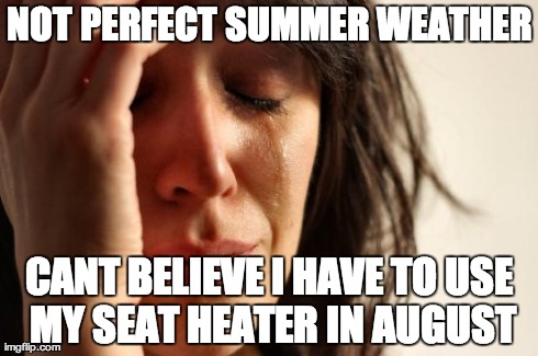 First World Problems | NOT PERFECT SUMMER WEATHER CANT BELIEVE I HAVE TO
USE MY SEAT HEATER IN AUGUST | image tagged in memes,first world problems | made w/ Imgflip meme maker