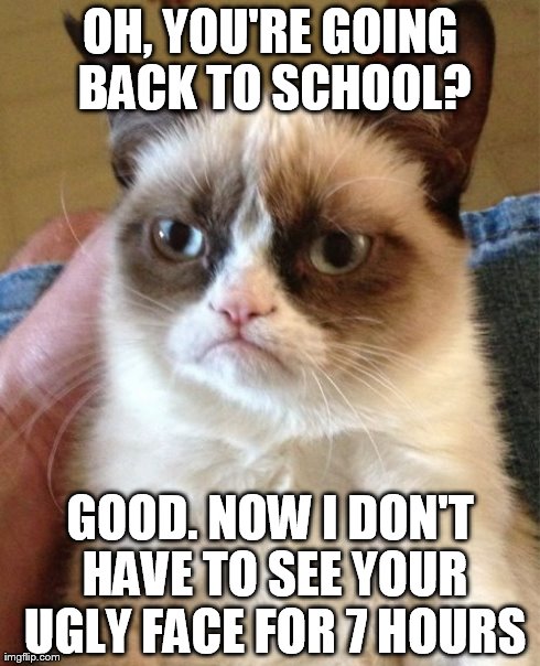 Grumpy Cat Meme | OH, YOU'RE GOING BACK TO SCHOOL? GOOD. NOW I DON'T HAVE TO SEE YOUR UGLY FACE FOR 7 HOURS | image tagged in memes,grumpy cat | made w/ Imgflip meme maker